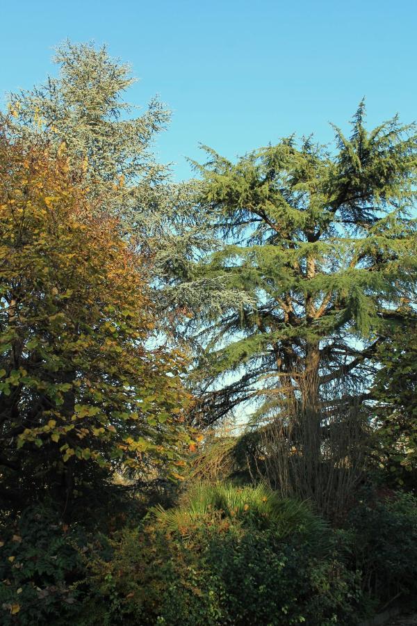 La Casa Di Neh Villa Rivalba Buitenkant foto