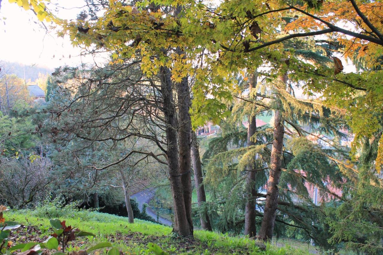 La Casa Di Neh Villa Rivalba Buitenkant foto